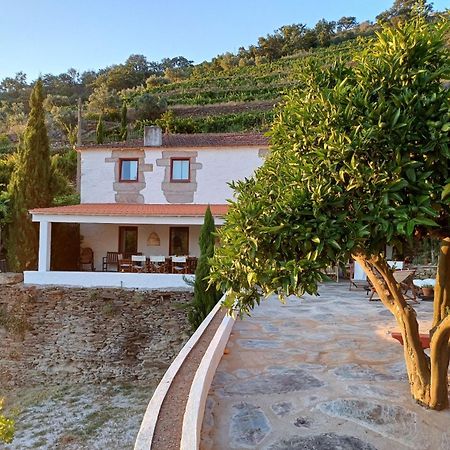 Country House Quinta Da Salgueira Alijó Dış mekan fotoğraf