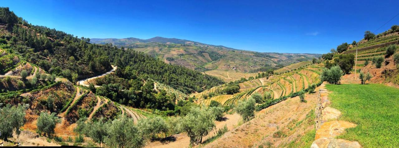 Country House Quinta Da Salgueira Alijó Dış mekan fotoğraf