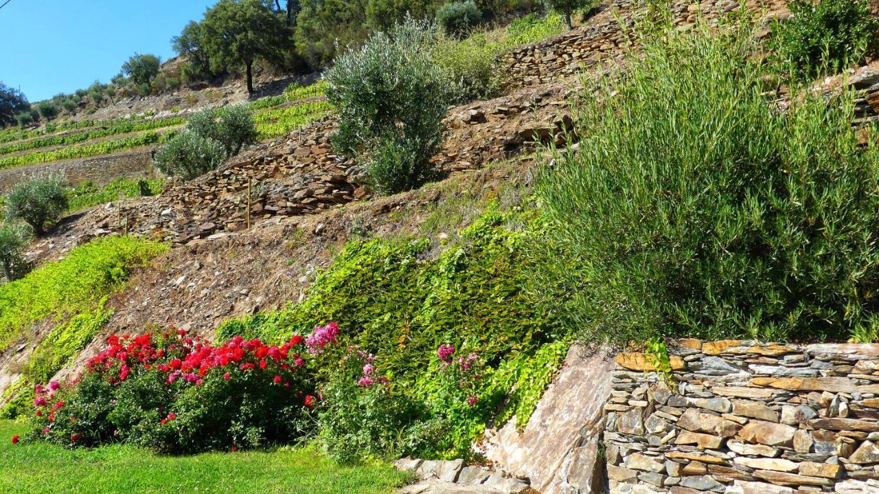 Country House Quinta Da Salgueira Alijó Dış mekan fotoğraf