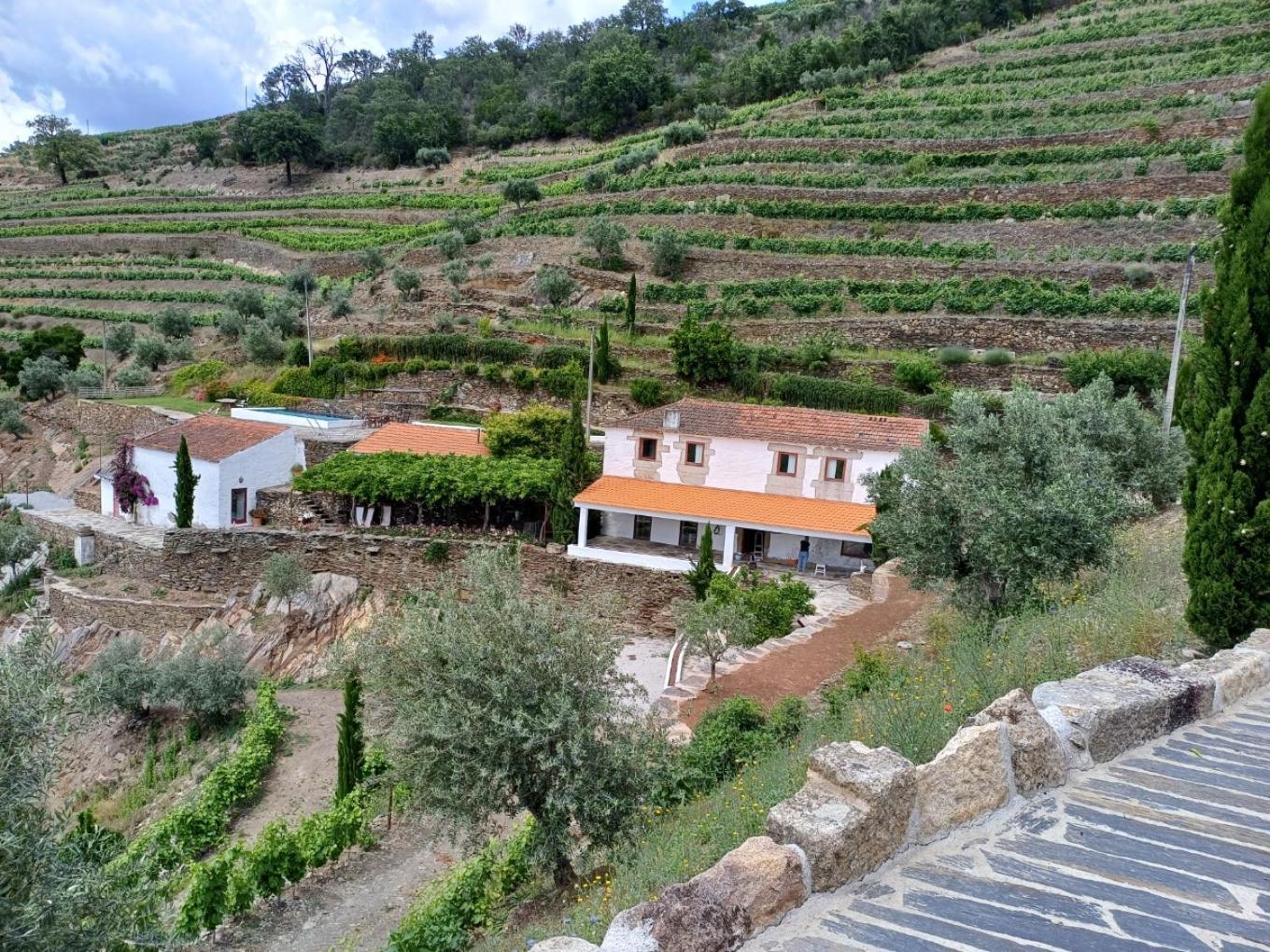 Country House Quinta Da Salgueira Alijó Dış mekan fotoğraf