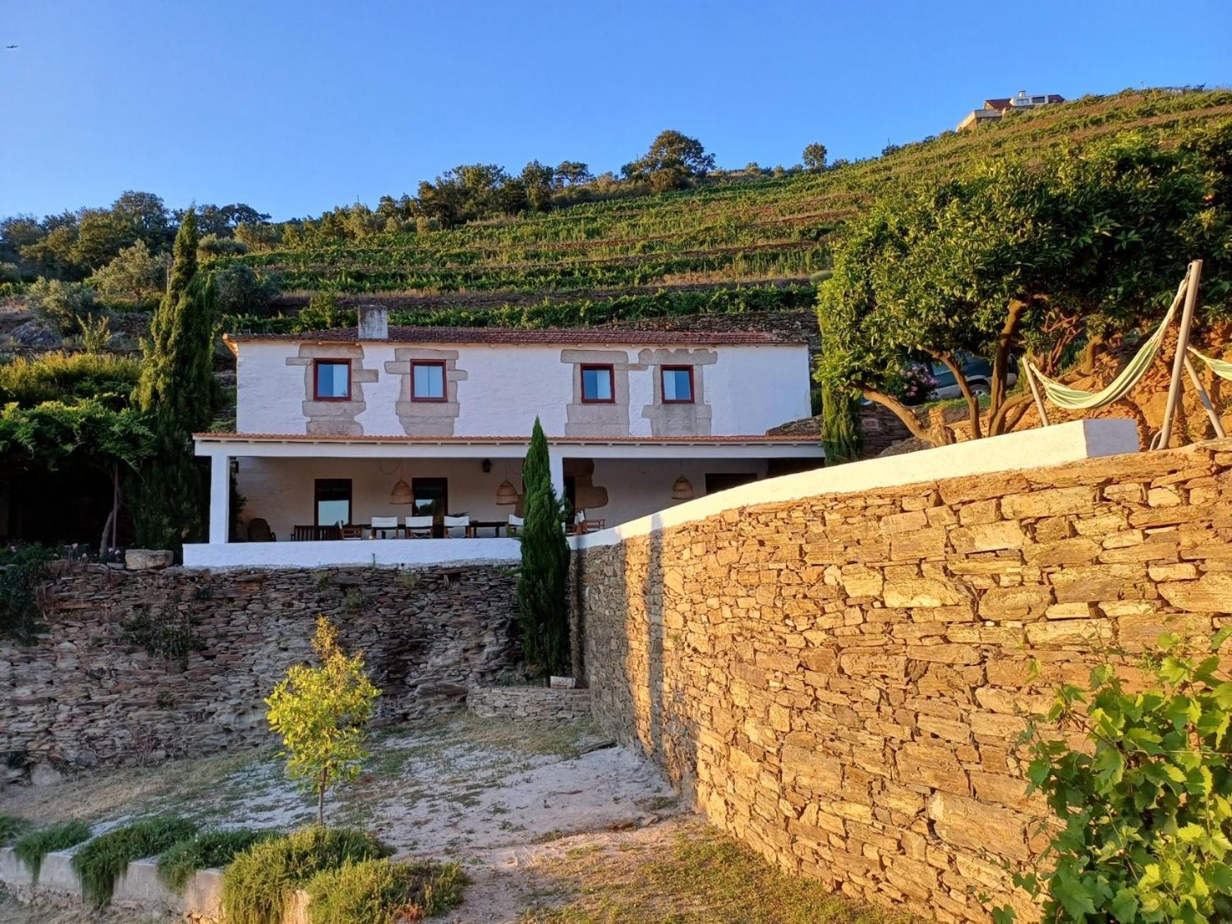 Country House Quinta Da Salgueira Alijó Oda fotoğraf