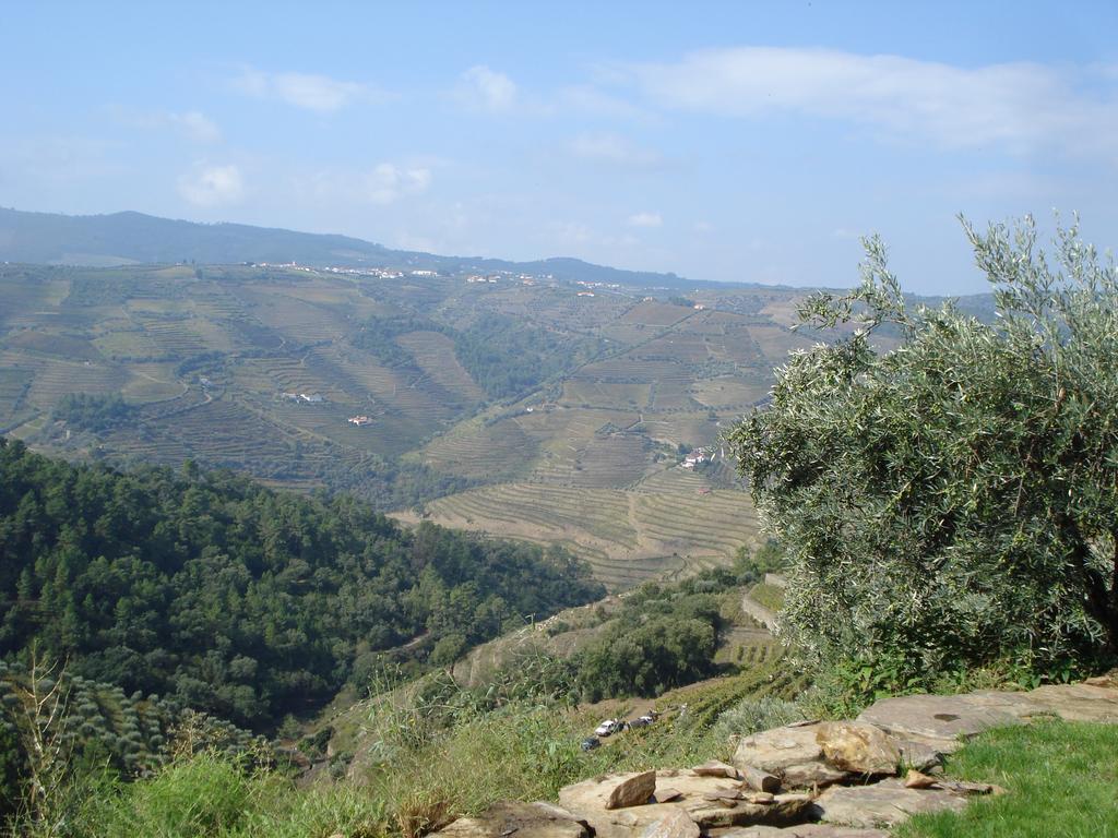 Country House Quinta Da Salgueira Alijó Dış mekan fotoğraf