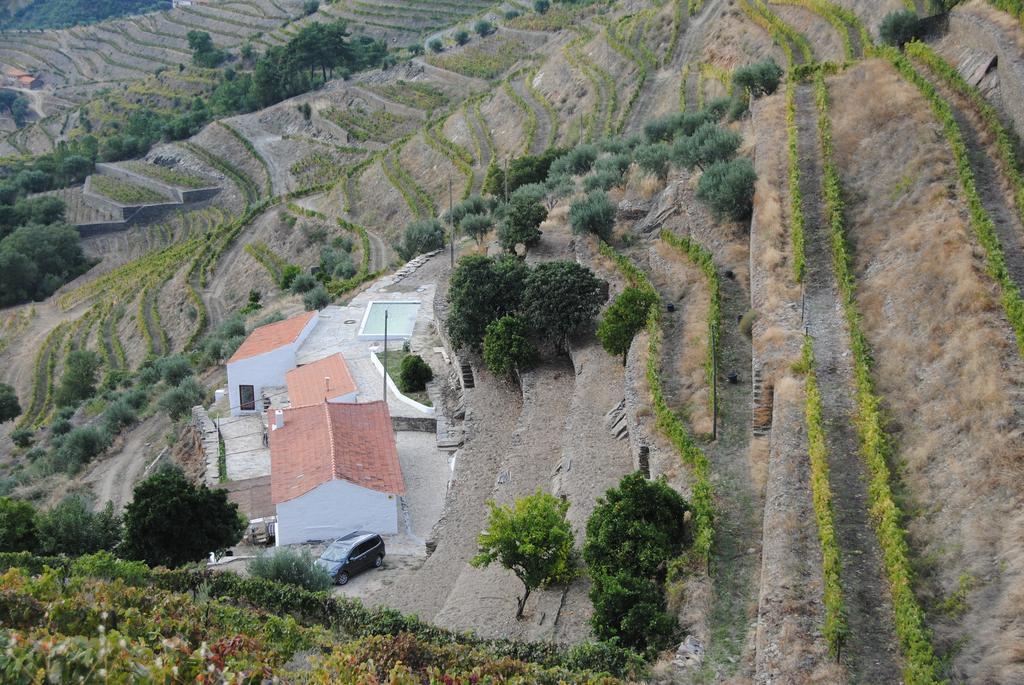 Country House Quinta Da Salgueira Alijó Dış mekan fotoğraf