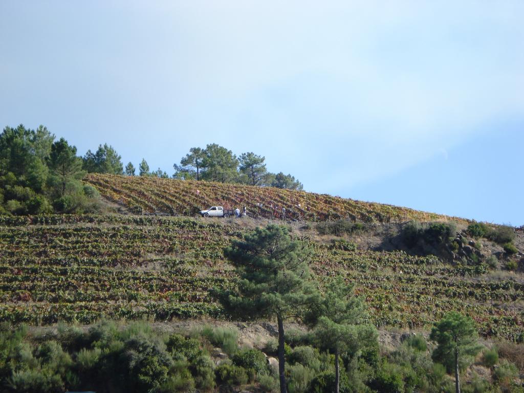 Country House Quinta Da Salgueira Alijó Dış mekan fotoğraf