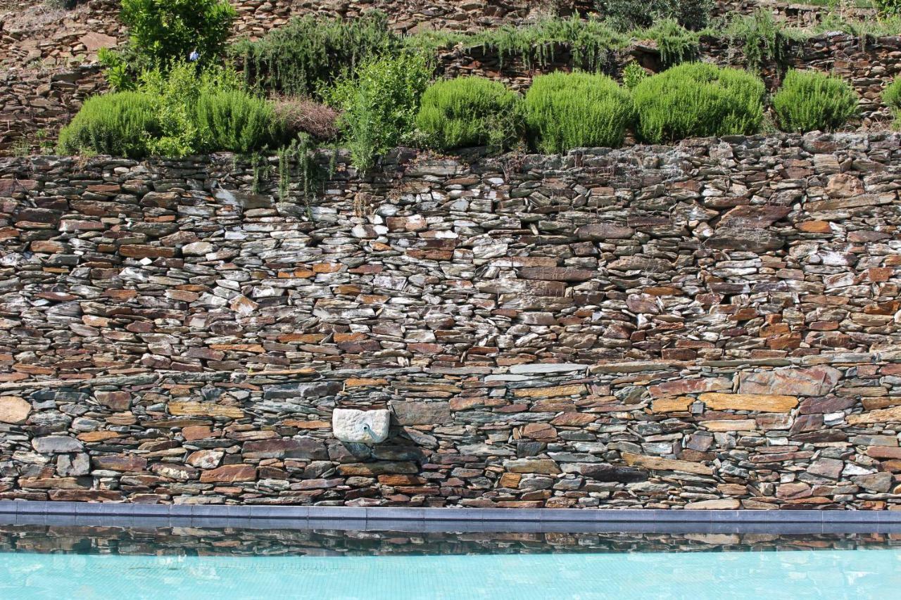 Country House Quinta Da Salgueira Alijó Dış mekan fotoğraf