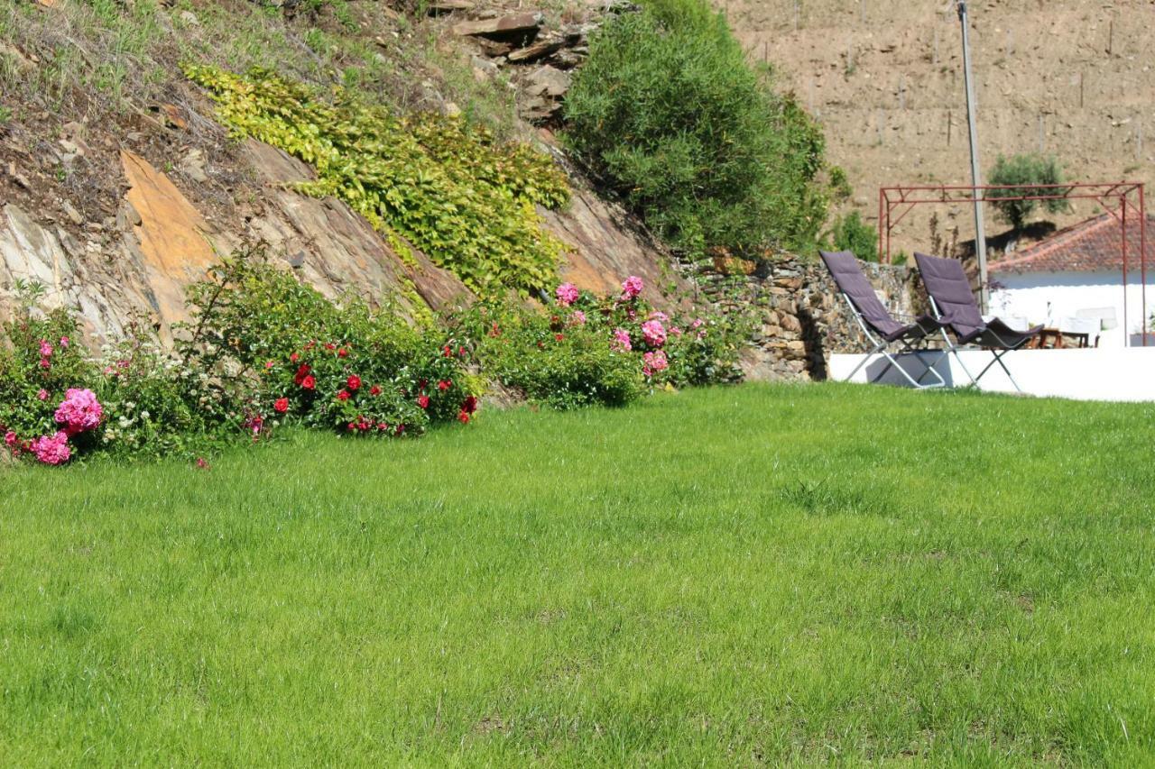 Country House Quinta Da Salgueira Alijó Dış mekan fotoğraf